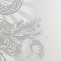 Dennis Brown Wu Shu Training Centers